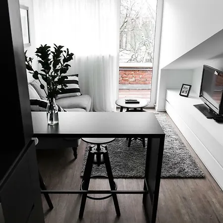 Apartment Deluxe By Hostlovers Kaunas