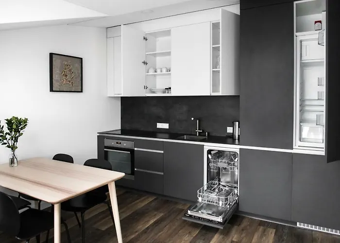 Apartment Deluxe By Hostlovers Kaunas